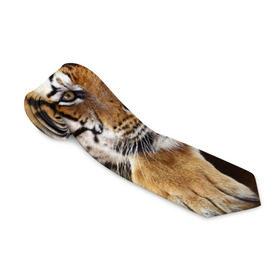 Галстук 3D с принтом Тигр в Тюмени, 100% полиэстер | Длина 148 см; Плотность 150-180 г/м2 | Тематика изображения на принте: амурский | животные | зверь | киса | кот | котенок | кошка | тигр | хищник