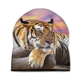 Шапка 3D с принтом Тигр в Тюмени, 100% полиэстер | универсальный размер, печать по всей поверхности изделия | амурский | животные | зверь | киса | кот | котенок | кошка | тигр | хищник