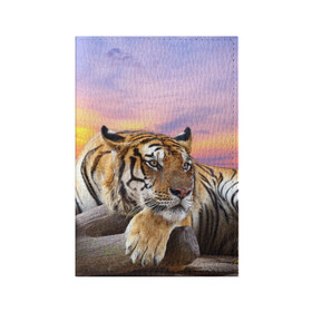 Обложка для паспорта матовая кожа с принтом Тигр в Тюмени, натуральная матовая кожа | размер 19,3 х 13,7 см; прозрачные пластиковые крепления | амурский | животные | зверь | киса | кот | котенок | кошка | тигр | хищник