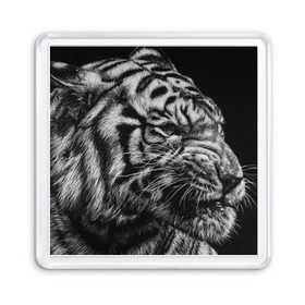 Магнит 55*55 с принтом Тигр в Тюмени, Пластик | Размер: 65*65 мм; Размер печати: 55*55 мм | Тематика изображения на принте: амурский | животные | зверь | киса | кот | котенок | кошка | серый | тигр | тигренок | хищник