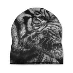 Шапка 3D с принтом Тигр в Тюмени, 100% полиэстер | универсальный размер, печать по всей поверхности изделия | амурский | животные | зверь | киса | кот | котенок | кошка | серый | тигр | тигренок | хищник