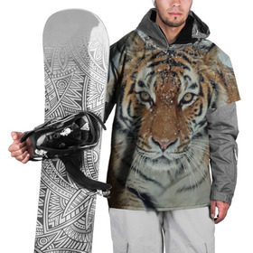 Накидка на куртку 3D с принтом Тигр в Тюмени, 100% полиэстер |  | амурский | животные | зверь | киса | кот | котенок | кошка | тигр | хищник
