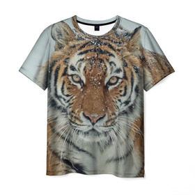 Мужская футболка 3D с принтом Тигр в Тюмени, 100% полиэфир | прямой крой, круглый вырез горловины, длина до линии бедер | амурский | животные | зверь | киса | кот | котенок | кошка | тигр | хищник