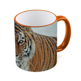 Кружка 3D с принтом Тигр в Тюмени, керамика | ёмкость 330 мл | Тематика изображения на принте: амурский | животные | зверь | киса | кот | котенок | кошка | тигр | хищник