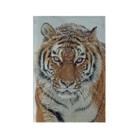 Обложка для паспорта матовая кожа с принтом Тигр в Тюмени, натуральная матовая кожа | размер 19,3 х 13,7 см; прозрачные пластиковые крепления | амурский | животные | зверь | киса | кот | котенок | кошка | тигр | хищник