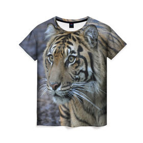 Женская футболка 3D с принтом Тигр в Тюмени, 100% полиэфир ( синтетическое хлопкоподобное полотно) | прямой крой, круглый вырез горловины, длина до линии бедер | Тематика изображения на принте: амурский | животные | зверь | киса | кот | котенок | кошка | тигр | хищник