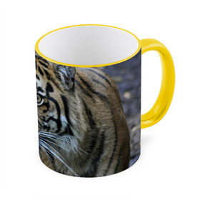 Кружка 3D с принтом Тигр в Тюмени, керамика | ёмкость 330 мл | амурский | животные | зверь | киса | кот | котенок | кошка | тигр | хищник