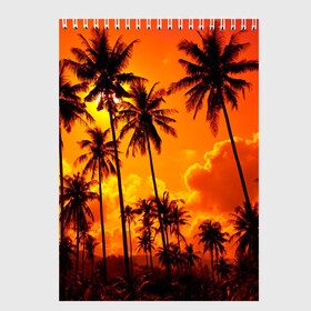 Скетчбук с принтом Таиланд в Тюмени, 100% бумага
 | 48 листов, плотность листов — 100 г/м2, плотность картонной обложки — 250 г/м2. Листы скреплены сверху удобной пружинной спиралью | clouds | nature | palms | sky | sunset | thailand | tourism | закат | небо | облака | пальмы | природа | таиланд | туризм