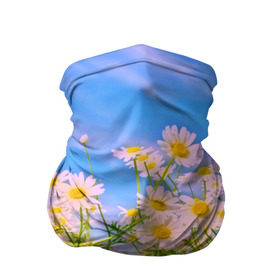 Бандана-труба 3D с принтом Ромашка в Тюмени, 100% полиэстер, ткань с особыми свойствами — Activecool | плотность 150‒180 г/м2; хорошо тянется, но сохраняет форму | flower | лето | полевой цветок | цветочки | цветы