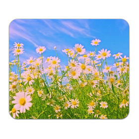 Коврик прямоугольный с принтом Ромашка в Тюмени, натуральный каучук | размер 230 х 185 мм; запечатка лицевой стороны | flower | лето | полевой цветок | цветочки | цветы