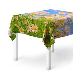 Скатерть 3D с принтом Ромашка в Тюмени, 100% полиэстер (ткань не мнется и не растягивается) | Размер: 150*150 см | flower | лето | полевой цветок | цветочки | цветы