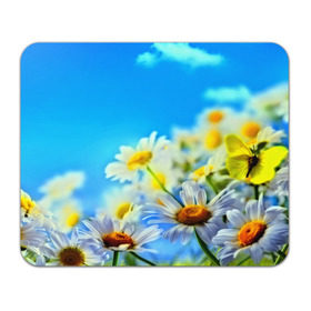 Коврик прямоугольный с принтом Ромашка полевая в Тюмени, натуральный каучук | размер 230 х 185 мм; запечатка лицевой стороны | Тематика изображения на принте: flower | лето | поле | полевой цветок | цветочки | цветы
