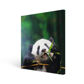 Холст квадратный с принтом Панда на ветке в Тюмени, 100% ПВХ |  | животные | лес | медведь | медвежонок | панда | природа