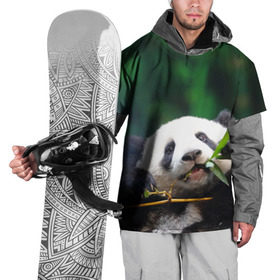 Накидка на куртку 3D с принтом Панда на ветке в Тюмени, 100% полиэстер |  | животные | лес | медведь | медвежонок | панда | природа