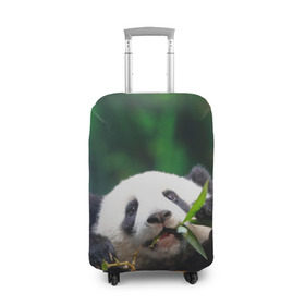 Чехол для чемодана 3D с принтом Панда на ветке в Тюмени, 86% полиэфир, 14% спандекс | двустороннее нанесение принта, прорези для ручек и колес | животные | лес | медведь | медвежонок | панда | природа