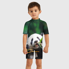 Детский купальный костюм 3D с принтом Панда на ветке в Тюмени, Полиэстер 85%, Спандекс 15% | застежка на молнии на спине | животные | лес | медведь | медвежонок | панда | природа
