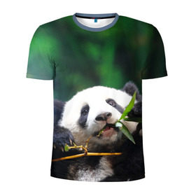 Мужская футболка 3D спортивная с принтом Панда на ветке в Тюмени, 100% полиэстер с улучшенными характеристиками | приталенный силуэт, круглая горловина, широкие плечи, сужается к линии бедра | Тематика изображения на принте: животные | лес | медведь | медвежонок | панда | природа