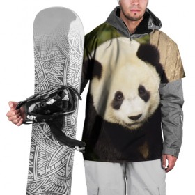 Накидка на куртку 3D с принтом Панда на дереве в Тюмени, 100% полиэстер |  | животные | лес | медведь | медвежонок | панда | природа