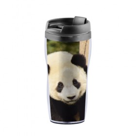 Термокружка-непроливайка с принтом Панда на дереве в Тюмени, внутренняя часть — пищевой пластик, наружная часть — прозрачный пластик, между ними — полиграфическая вставка с рисунком | объем — 350 мл, герметичная крышка | животные | лес | медведь | медвежонок | панда | природа