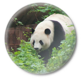 Значок с принтом Панда в лесу в Тюмени,  металл | круглая форма, металлическая застежка в виде булавки | животные | лес | медведь | медвежонок | панда | природа