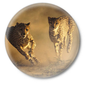 Значок с принтом Гепард в Тюмени,  металл | круглая форма, металлическая застежка в виде булавки | Тематика изображения на принте: амурский | гепард | животные | зверь | киса | кот | котенок | кошка | лев | леопард | пума | рысь | серый | тигр | тигренок | хищник