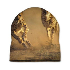Шапка 3D с принтом Гепард в Тюмени, 100% полиэстер | универсальный размер, печать по всей поверхности изделия | Тематика изображения на принте: амурский | гепард | животные | зверь | киса | кот | котенок | кошка | лев | леопард | пума | рысь | серый | тигр | тигренок | хищник