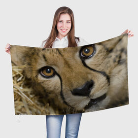 Флаг 3D с принтом Гепард в Тюмени, 100% полиэстер | плотность ткани — 95 г/м2, размер — 67 х 109 см. Принт наносится с одной стороны | амурский | гепард | животные | зверь | киса | кот | котенок | кошка | лев | леопард | пума | рысь | серый | тигр | тигренок | хищник