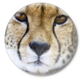 Значок с принтом Гепард в Тюмени,  металл | круглая форма, металлическая застежка в виде булавки | амурский | гепард | животные | зверь | киса | кот | котенок | кошка | лев | леопард | пума | рысь | серый | тигр | тигренок | хищник