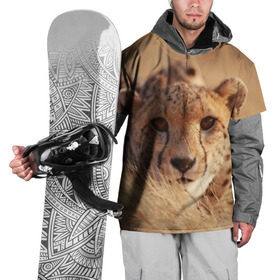 Накидка на куртку 3D с принтом Гепард в Тюмени, 100% полиэстер |  | амурский | гепард | животные | зверь | киса | кот | котенок | кошка | лев | леопард | пума | рысь | серый | тигр | тигренок | хищник