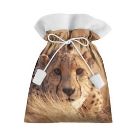Подарочный 3D мешок с принтом Гепард в Тюмени, 100% полиэстер | Размер: 29*39 см | амурский | гепард | животные | зверь | киса | кот | котенок | кошка | лев | леопард | пума | рысь | серый | тигр | тигренок | хищник