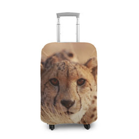 Чехол для чемодана 3D с принтом Гепард в Тюмени, 86% полиэфир, 14% спандекс | двустороннее нанесение принта, прорези для ручек и колес | амурский | гепард | животные | зверь | киса | кот | котенок | кошка | лев | леопард | пума | рысь | серый | тигр | тигренок | хищник