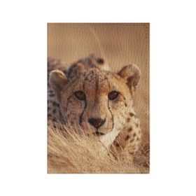 Обложка для паспорта матовая кожа с принтом Гепард в Тюмени, натуральная матовая кожа | размер 19,3 х 13,7 см; прозрачные пластиковые крепления | Тематика изображения на принте: амурский | гепард | животные | зверь | киса | кот | котенок | кошка | лев | леопард | пума | рысь | серый | тигр | тигренок | хищник