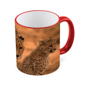 Кружка 3D с принтом Гепард в Тюмени, керамика | ёмкость 330 мл | Тематика изображения на принте: амурский | гепард | животные | зверь | киса | кот | котенок | кошка | лев | леопард | пума | рысь | серый | тигр | тигренок | хищник