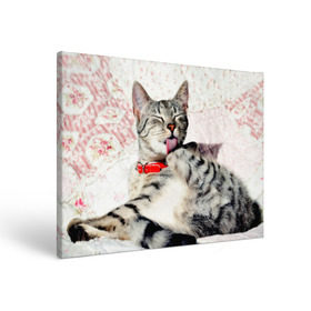 Холст прямоугольный с принтом Кошка в Тюмени, 100% ПВХ |  | cat | collar | heel | licking | lying | red | striped | кошка | красный | лежит | лижет | ошейник | полосатая | пятка