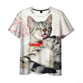 Мужская футболка 3D с принтом Кошка в Тюмени, 100% полиэфир | прямой крой, круглый вырез горловины, длина до линии бедер | cat | collar | heel | licking | lying | red | striped | кошка | красный | лежит | лижет | ошейник | полосатая | пятка