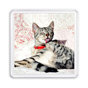 Магнит 55*55 с принтом Кошка в Тюмени, Пластик | Размер: 65*65 мм; Размер печати: 55*55 мм | cat | collar | heel | licking | lying | red | striped | кошка | красный | лежит | лижет | ошейник | полосатая | пятка