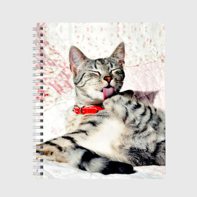 Тетрадь с принтом Кошка в Тюмени, 100% бумага | 48 листов, плотность листов — 60 г/м2, плотность картонной обложки — 250 г/м2. Листы скреплены сбоку удобной пружинной спиралью. Уголки страниц и обложки скругленные. Цвет линий — светло-серый
 | cat | collar | heel | licking | lying | red | striped | кошка | красный | лежит | лижет | ошейник | полосатая | пятка