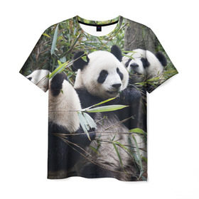 Мужская футболка 3D с принтом Семейка панд в Тюмени, 100% полиэфир | прямой крой, круглый вырез горловины, длина до линии бедер | Тематика изображения на принте: бамбук | животное | зверь | косолапый | лес | медведи | медведь | миша | мишка | мишутка | млекопитающее | панда | природа | трое