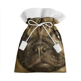 Подарочный 3D мешок с принтом Мопс в Тюмени, 100% полиэстер | Размер: 29*39 см | Тематика изображения на принте: бульдог | мопс | мопсик | мопсы | пес | песик | песики | собака | собаки | собачка