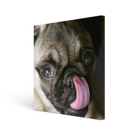 Холст квадратный с принтом Мопс в Тюмени, 100% ПВХ |  | Тематика изображения на принте: бульдог | мопс | мопсик | мопсы | пес | песик | песики | собака | собаки | собачка