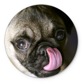 Коврик круглый с принтом Мопс в Тюмени, резина и полиэстер | круглая форма, изображение наносится на всю лицевую часть | бульдог | мопс | мопсик | мопсы | пес | песик | песики | собака | собаки | собачка