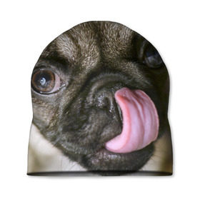 Шапка 3D с принтом Мопс в Тюмени, 100% полиэстер | универсальный размер, печать по всей поверхности изделия | Тематика изображения на принте: бульдог | мопс | мопсик | мопсы | пес | песик | песики | собака | собаки | собачка