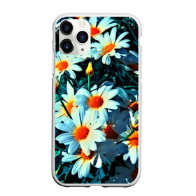 Чехол для iPhone 11 Pro матовый с принтом Полевые ромашки в Тюмени, Силикон |  | flower | лето | полевой цветок | цветочки | цветы