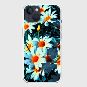 Чехол для iPhone 13 с принтом Полевые ромашки в Тюмени,  |  | flower | лето | полевой цветок | цветочки | цветы