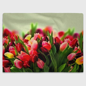 Плед 3D с принтом Букет тюльпанов в Тюмени, 100% полиэстер | закругленные углы, все края обработаны. Ткань не мнется и не растягивается | Тематика изображения на принте: flower | весна | цветочки | цветы