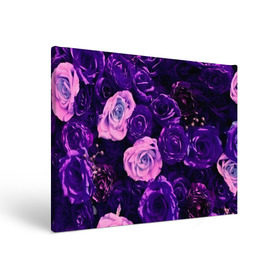 Холст прямоугольный с принтом Фиолетовые розы в Тюмени, 100% ПВХ |  | Тематика изображения на принте: flower | прикцветочки | розы | цветы