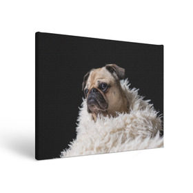 Холст прямоугольный с принтом Мопс в Тюмени, 100% ПВХ |  | Тематика изображения на принте: бульдог | мопс | мопсик | мопсы | пес | песик | песики | собака | собаки | собачка