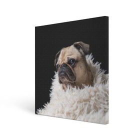 Холст квадратный с принтом Мопс в Тюмени, 100% ПВХ |  | Тематика изображения на принте: бульдог | мопс | мопсик | мопсы | пес | песик | песики | собака | собаки | собачка