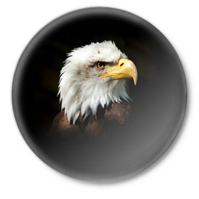 Значок с принтом Орёл в Тюмени,  металл | круглая форма, металлическая застежка в виде булавки | Тематика изображения на принте: клюв | орёл | пернатые | перья | птица | хищник