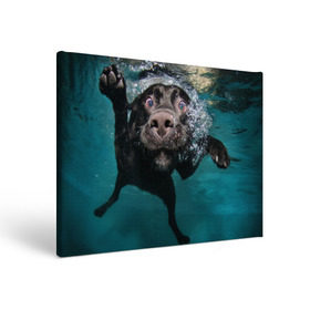 Холст прямоугольный с принтом Пес дайвер в Тюмени, 100% ПВХ |  | вода | гребет | дайвер | животное | купается | лапы | нос | пес | плавец | плывет | под водой | прикольный | пузыри | смешной | собака | щенок